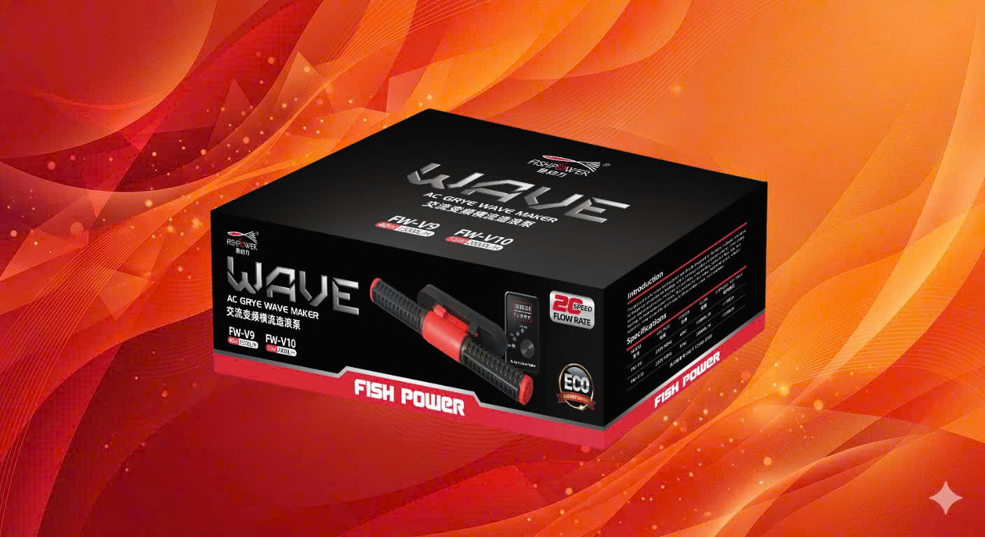 z7672579397042_2328baea4a08a1bc9d8602ba60590990