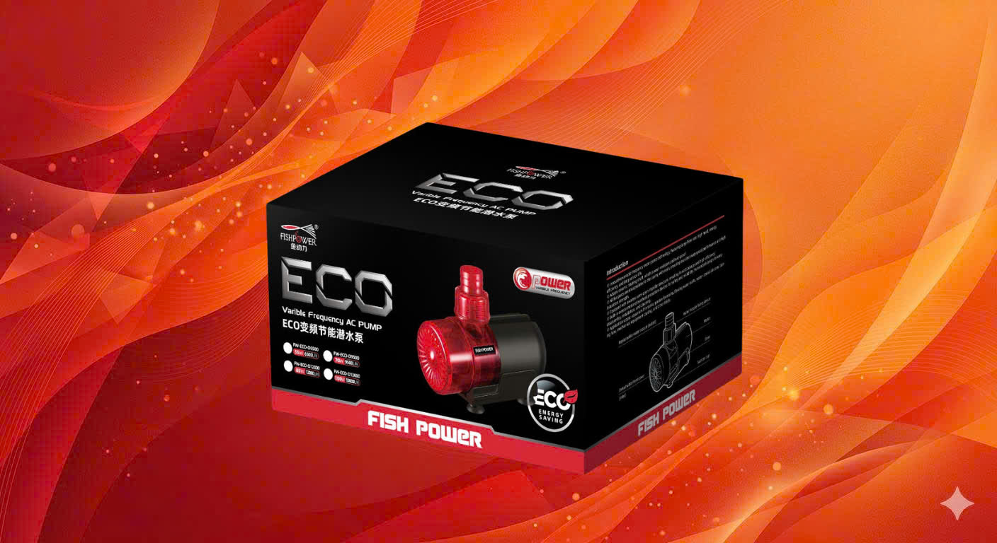 z7672579430569_7e9bd21d4e2efcb6f64e539cbe075457